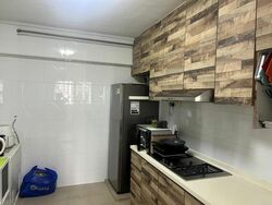 senja-road photo thumbnail #10